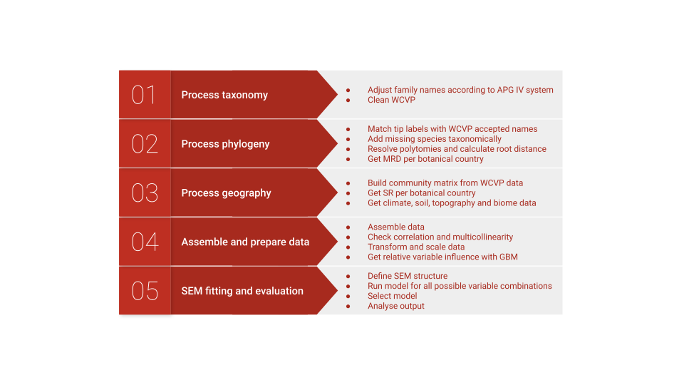 flow_chart_wcvp.png