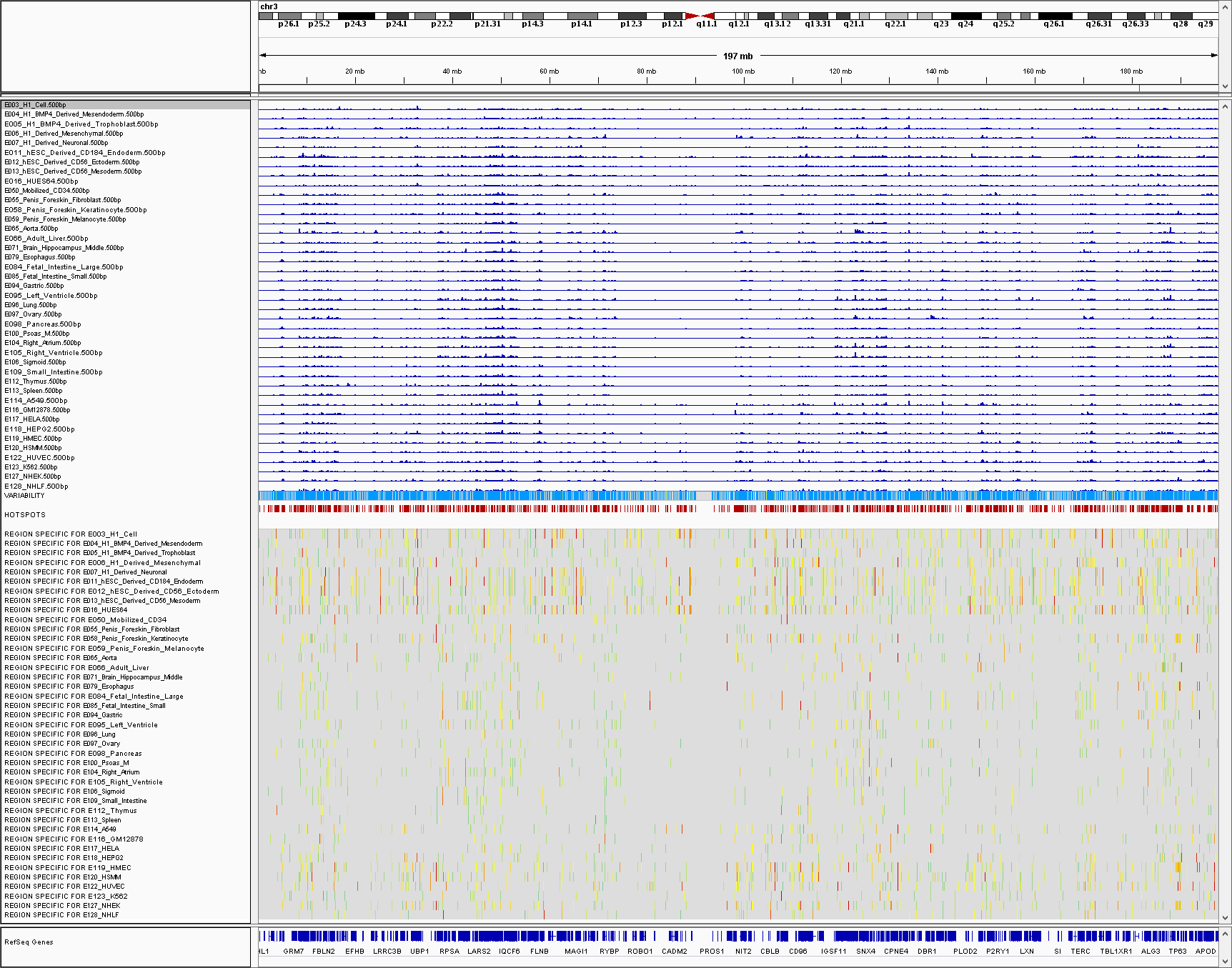 genome_map_h3k27ac_chr3.png