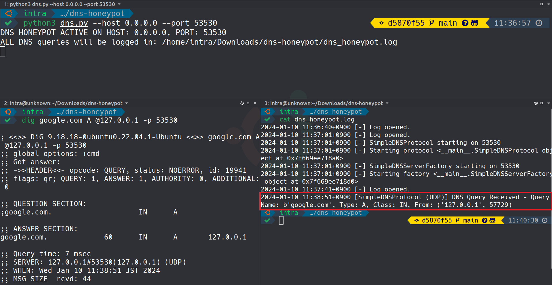 Simple DNS Honeypot in Action