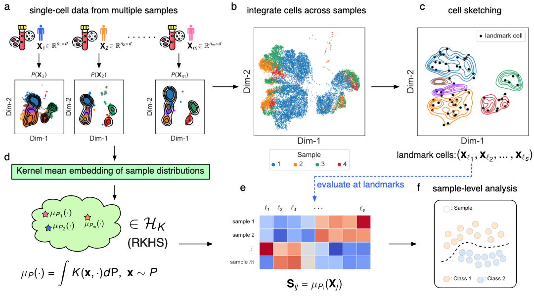 scLKME workflow figure