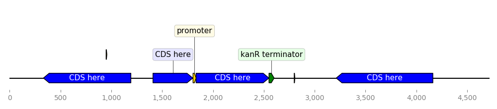 https://github.com/raw/Edinburgh-Genome-Foundry/DnaFeaturesViewer/master/examples/custom_biopython_translator.png