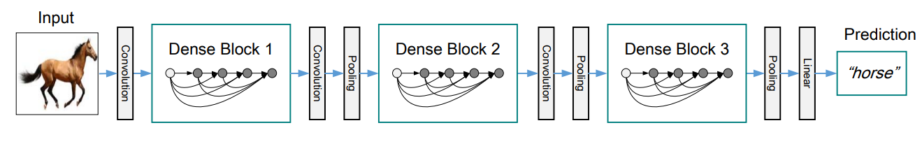 densenet-161