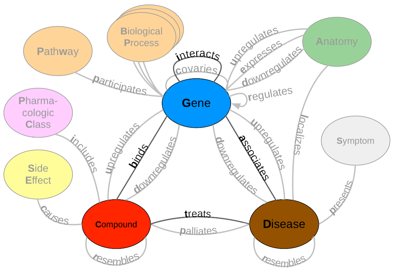 Highlighted edges used in Hetionet v1