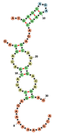 Cofolded sequences