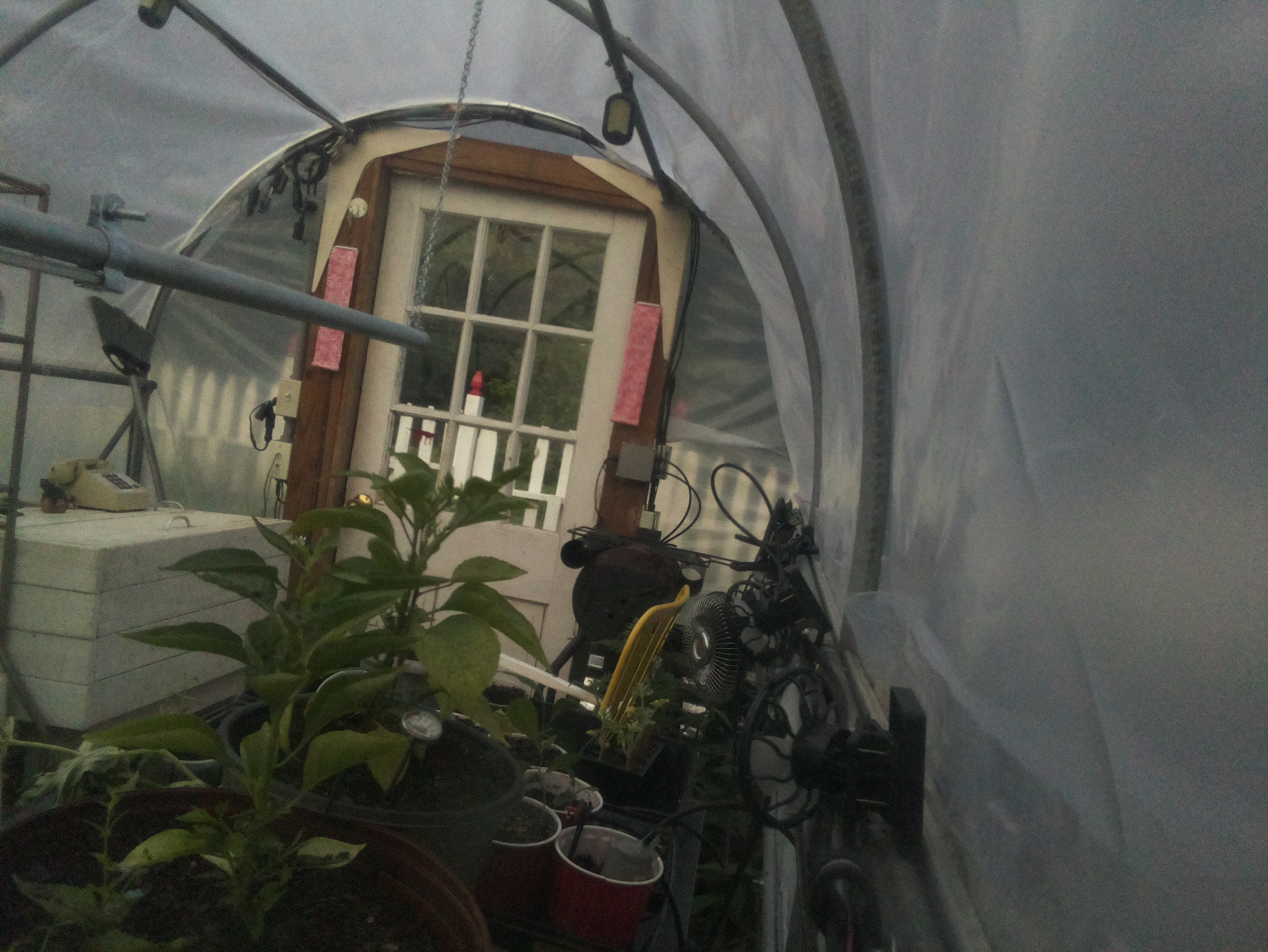 Greenhouse Camera Image High Resolution