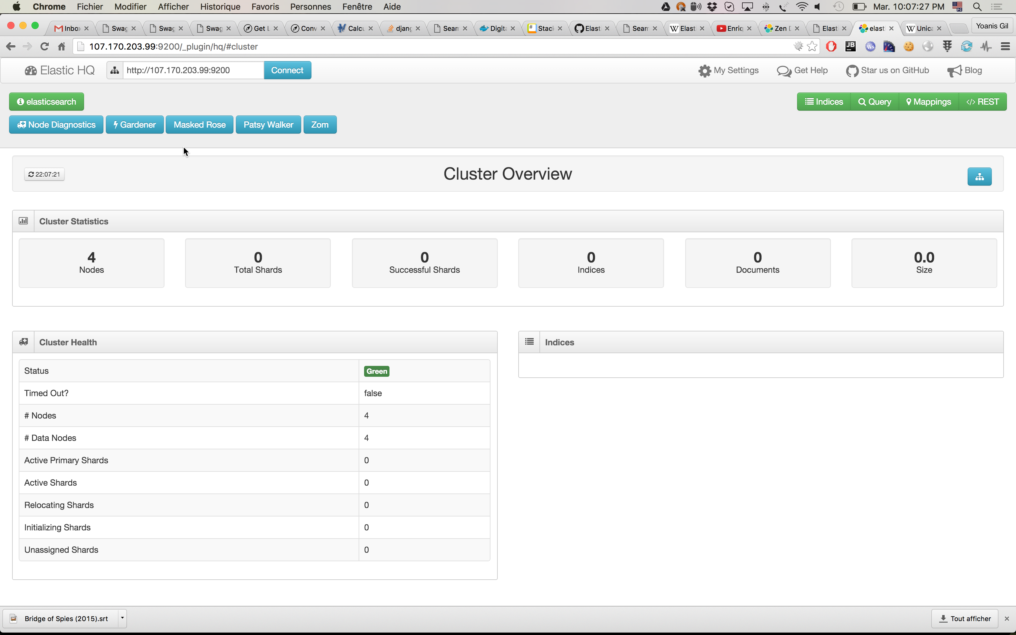 Elasticsearch pugling - After nodes added