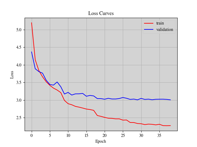 loss_curve.png