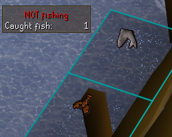 fishing.png