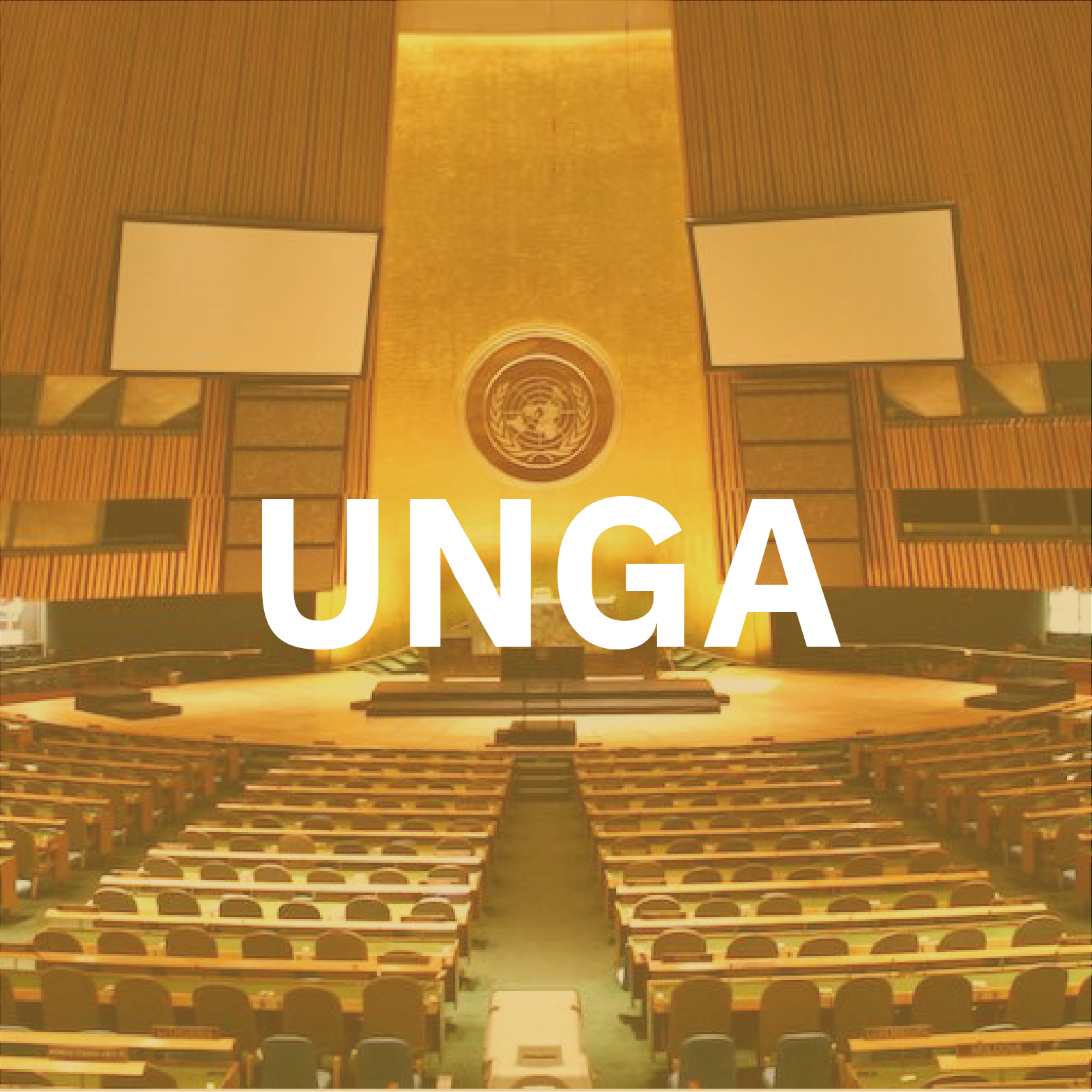 UNGA.png