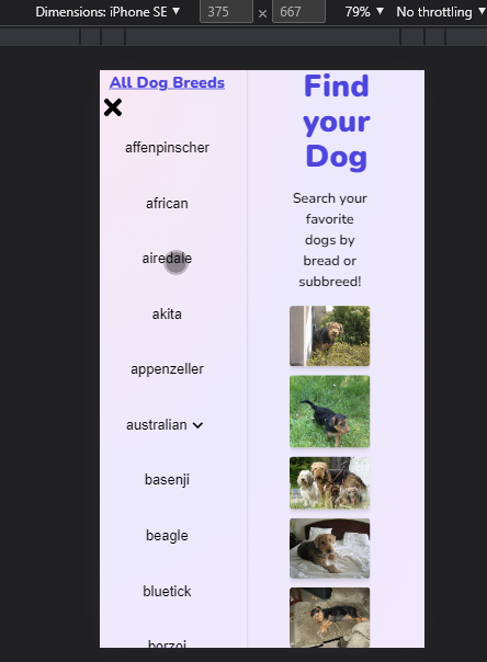 dog-gallery-res.png