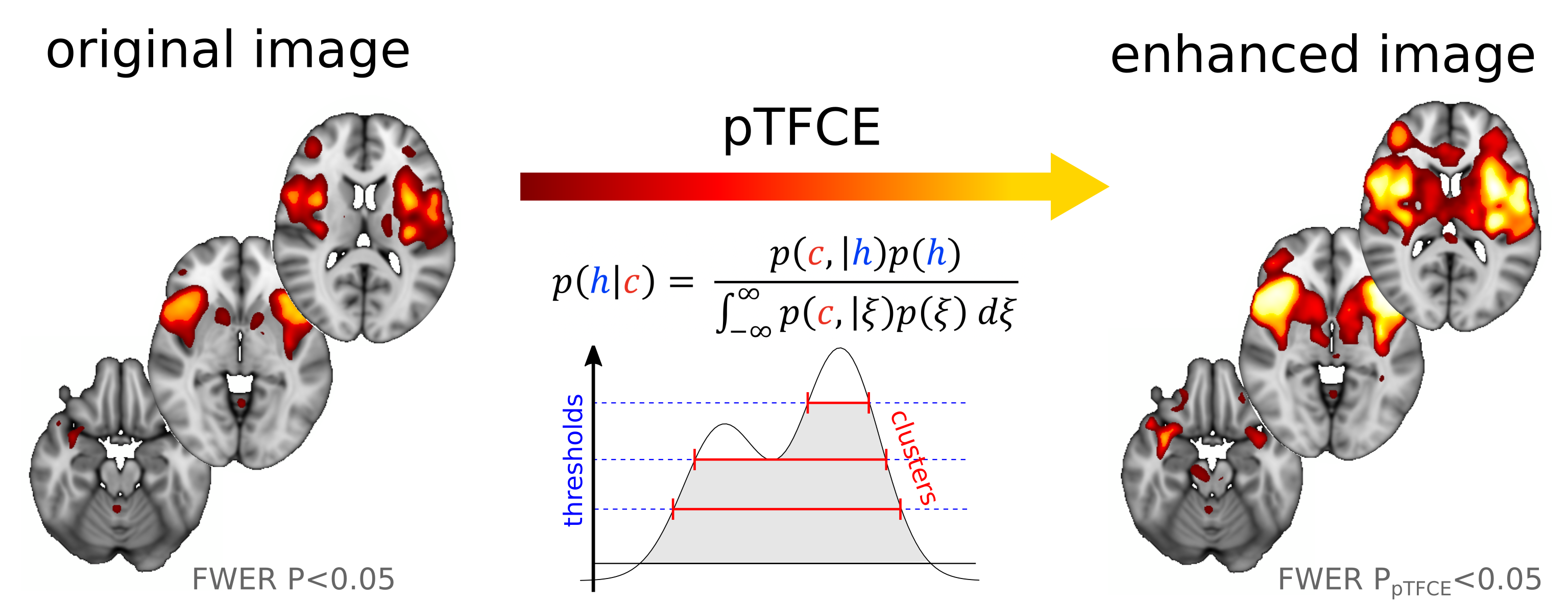 graphical_abstract.png