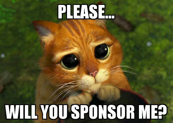 sponsor.jpg