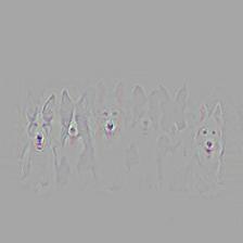 multiple_dogs-densenet121-cam_gb.jpg