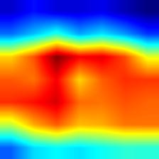 multiple_dogs-mobilenet_v2-heatmap++.jpg