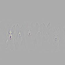 multiple_dogs-resnet50-cam_gb.jpg