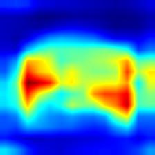 multiple_dogs-vgg16-heatmap++.jpg