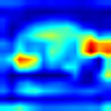 multiple_dogs-vgg16-heatmap.jpg