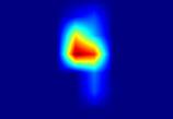 pic1-fcos-proposal_generator.fcos_head.cls_tower.8-heatmap.jpg