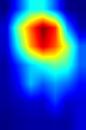 pic1-frcnn-heatmap++.jpg