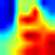 pic1-shufflenet_v2-heatmap++.jpg