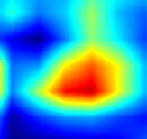 pic4-retinanet-head.cls_subnet.2-heatmap++.jpg